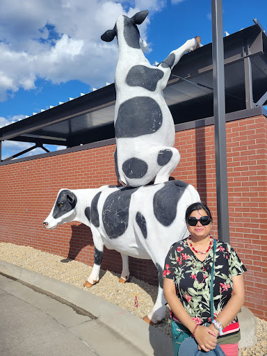 Shopping Mall «Northtown Mall», reviews and photos, 398 Northtown Dr NE, Blaine, MN 55434, USA