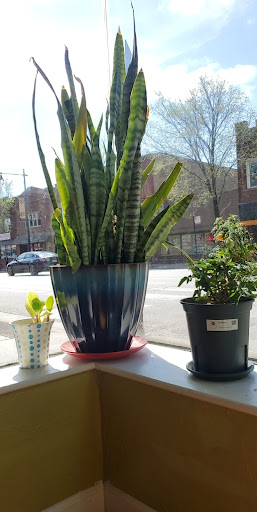 Coffee Shop «Perkolator», reviews and photos, 6032 W Irving Park Rd, Chicago, IL 60634, USA