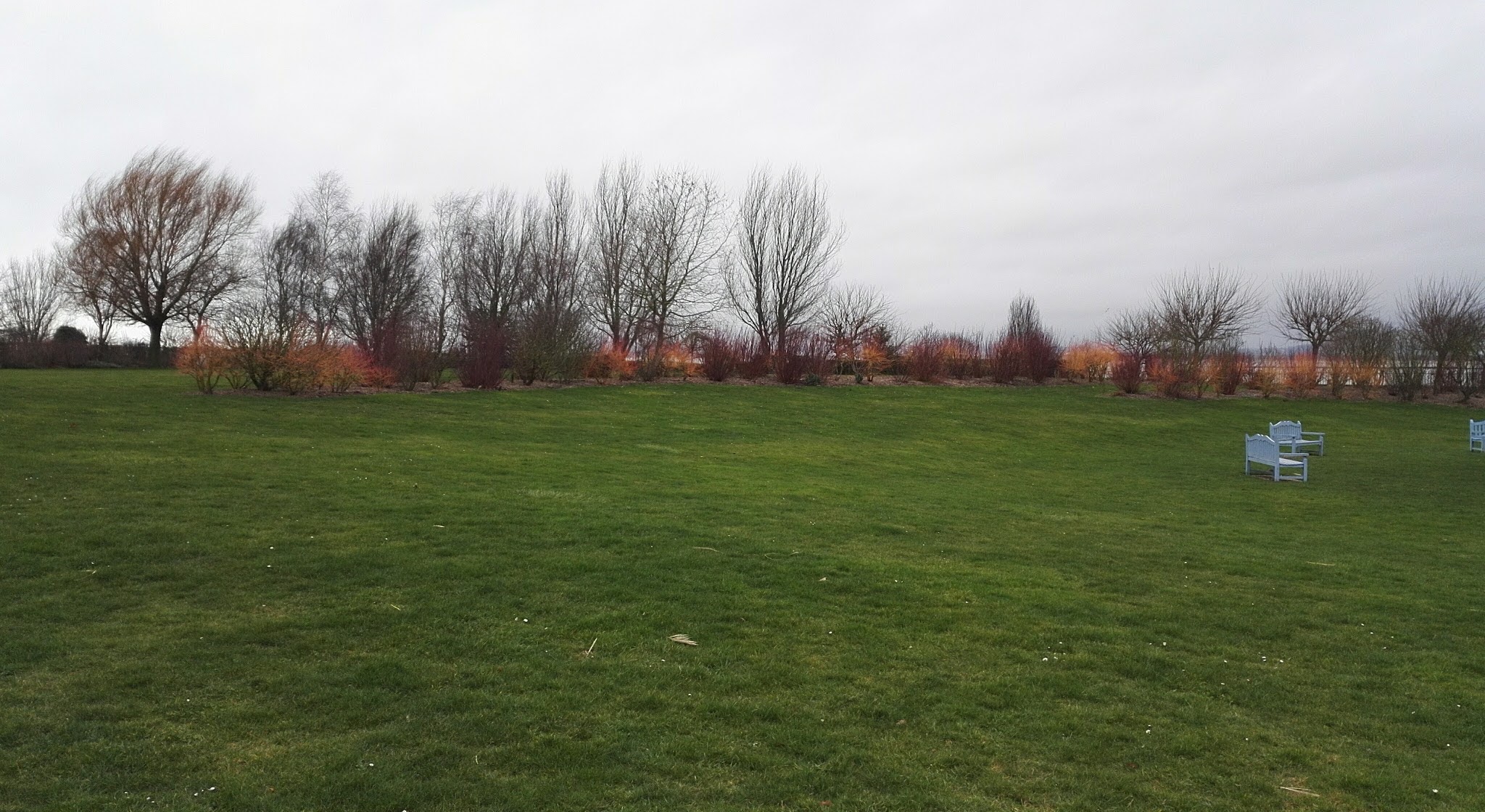 Photo n° 4 de l'avis de Eliane.e fait le 10/04/2017 à 16:26