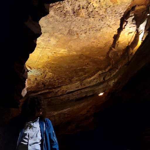 Tourist Attraction «Bluespring Caverns Park», reviews and photos, 1459 Blue Springs Cavern Rd, Bedford, IN 47421, USA