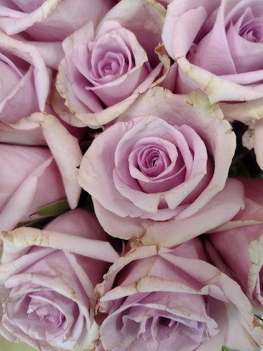 Grocery Store «Giant», reviews and photos, 1454 Chain Bridge Rd, McLean, VA 22101, USA