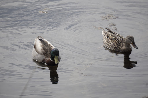 Park «Marine Park», reviews and photos, Fillmore Ave, Brooklyn, NY Brooklyn, USA