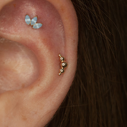 Explore rose tattoo ideas, creative tattoo ideas in Boston, available at Arcadia Body Piercing