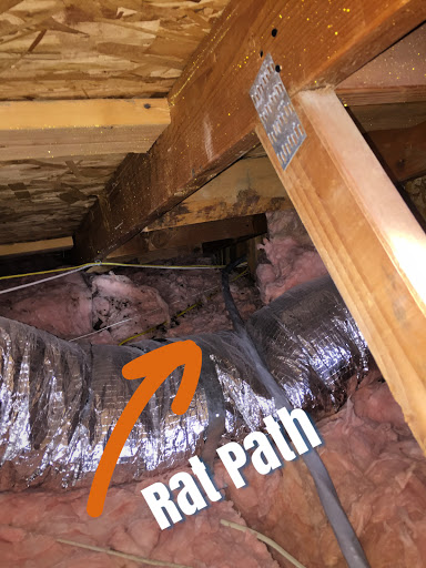 Pest Control Service «Attic Guys - Los Angeles - The Insulation Experts», reviews and photos