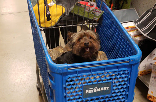 Pet Supply Store «PetSmart», reviews and photos, 5418 E 41st St, Tulsa, OK 74135, USA