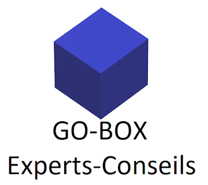 Go-box experts-conseils