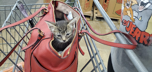 Grocery Store «Save-A-Lot», reviews and photos, 4621 E Lancaster Ave, Fort Worth, TX 76103, USA