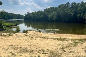 Lums Pond Dog Park image