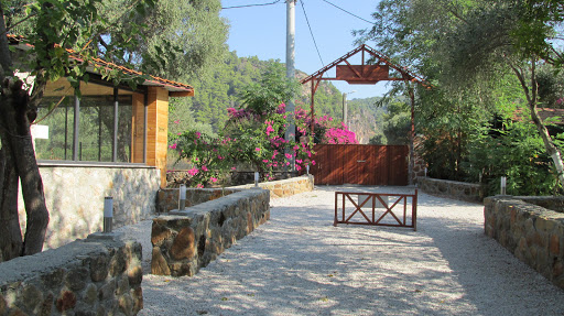 Eden Bungalows And Beach