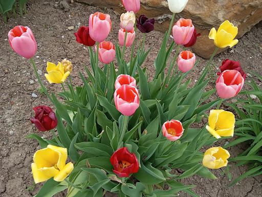 Resort «Turning Stone Resort Casino», reviews and photos, 5218 Patrick Rd, Verona, NY 13478, USA