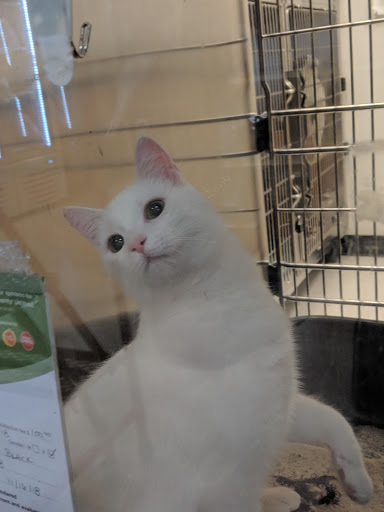 Pet Supply Store «PetSmart», reviews and photos, 1549 Bay Area Blvd, Webster, TX 77598, USA