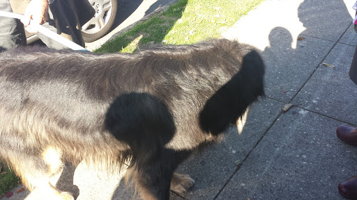 Park «Irving Park», reviews and photos, 707 NE Fremont St, Portland, OR 97212, USA