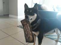 Zen & the Arts - Photo 3 - Car repair in Naples, FL, Bonita Springs