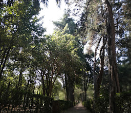 Viveros de Coyoacán photo