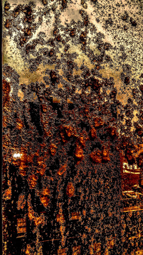 Museum «El Museo Del Barrio», reviews and photos, 1230 5th Ave, New York, NY 10029, USA