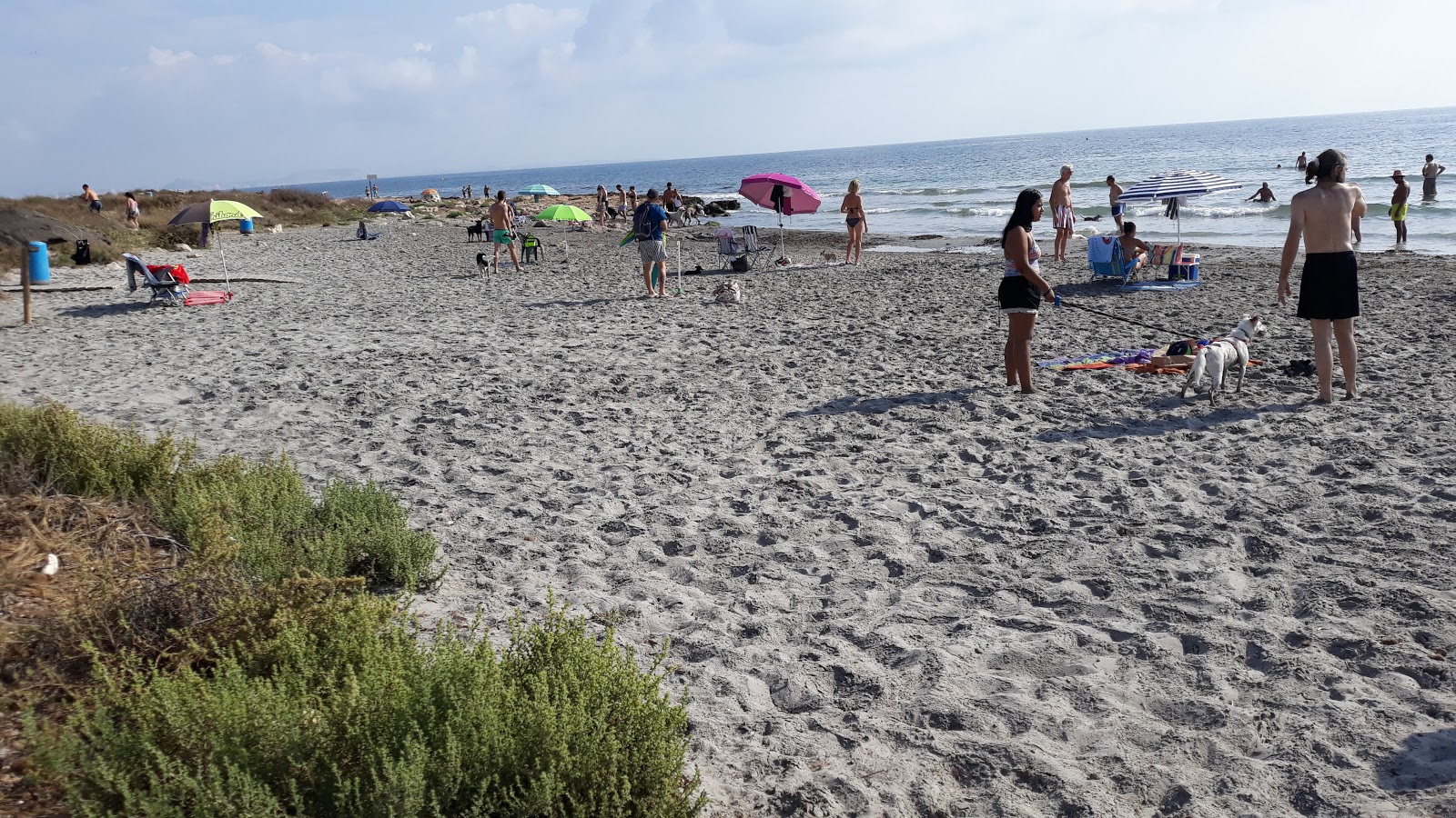 Foto af Santa Pola dog beach vildt område