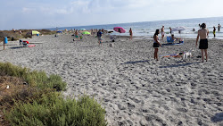 Santa Pola dog beach'in fotoğrafı doğal alan içinde bulunmaktadır