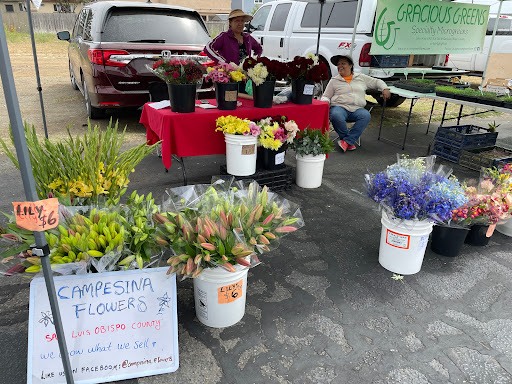 Grocery Store «Spencer Fresh Market», reviews and photos, 2650 Main St, Morro Bay, CA 93442, USA