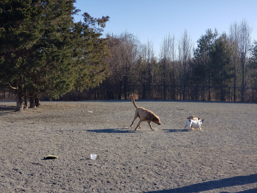 Dog Park «Rock Hill District Park», reviews and photos, 15150 Old Lee Rd, Chantilly, VA 20151, USA