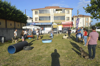 Showdogs Köpek ve Kedi Eğitim Üretim Satış Otel