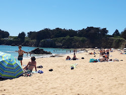 Plage des Vieilles'in fotoğrafı çok temiz temizlik seviyesi ile