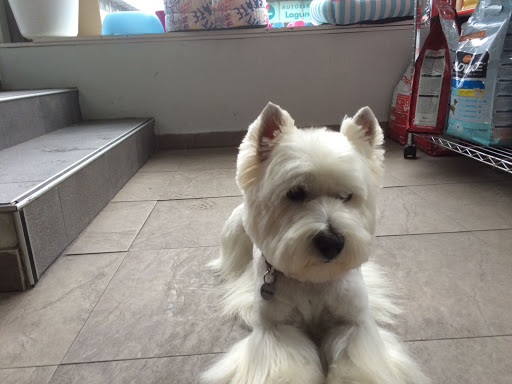 Información y opiniones sobre Adizki de Irún