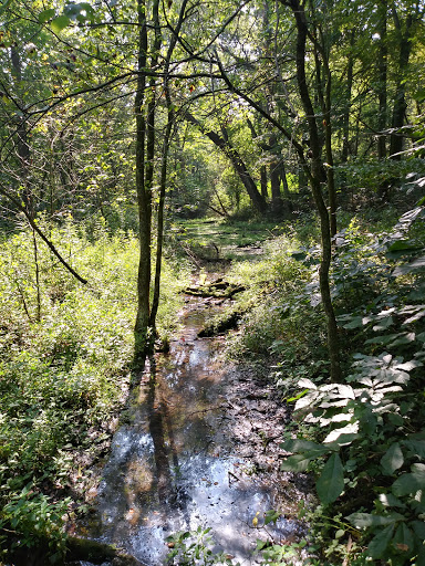 Nature Preserve «Caesar Creek Gorge State Nature Preserve», reviews and photos, 4080 Corwin Rd, Oregonia, OH 45054, USA