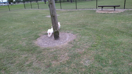 Park «Victor Park», reviews and photos, 1601 S M St, Harlingen, TX 78550, USA