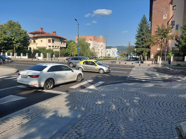 Comentarii opinii despre Primăria Râmnicu Vâlcea