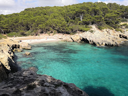 Photo de Cala Fustam avec un niveau de propreté de assez propre