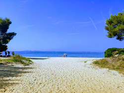 Photo de Plage Pellegrin situé dans une zone naturelle