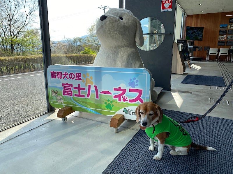 日本盲導犬協会 日本盲導犬総合センター 富士ハーネス