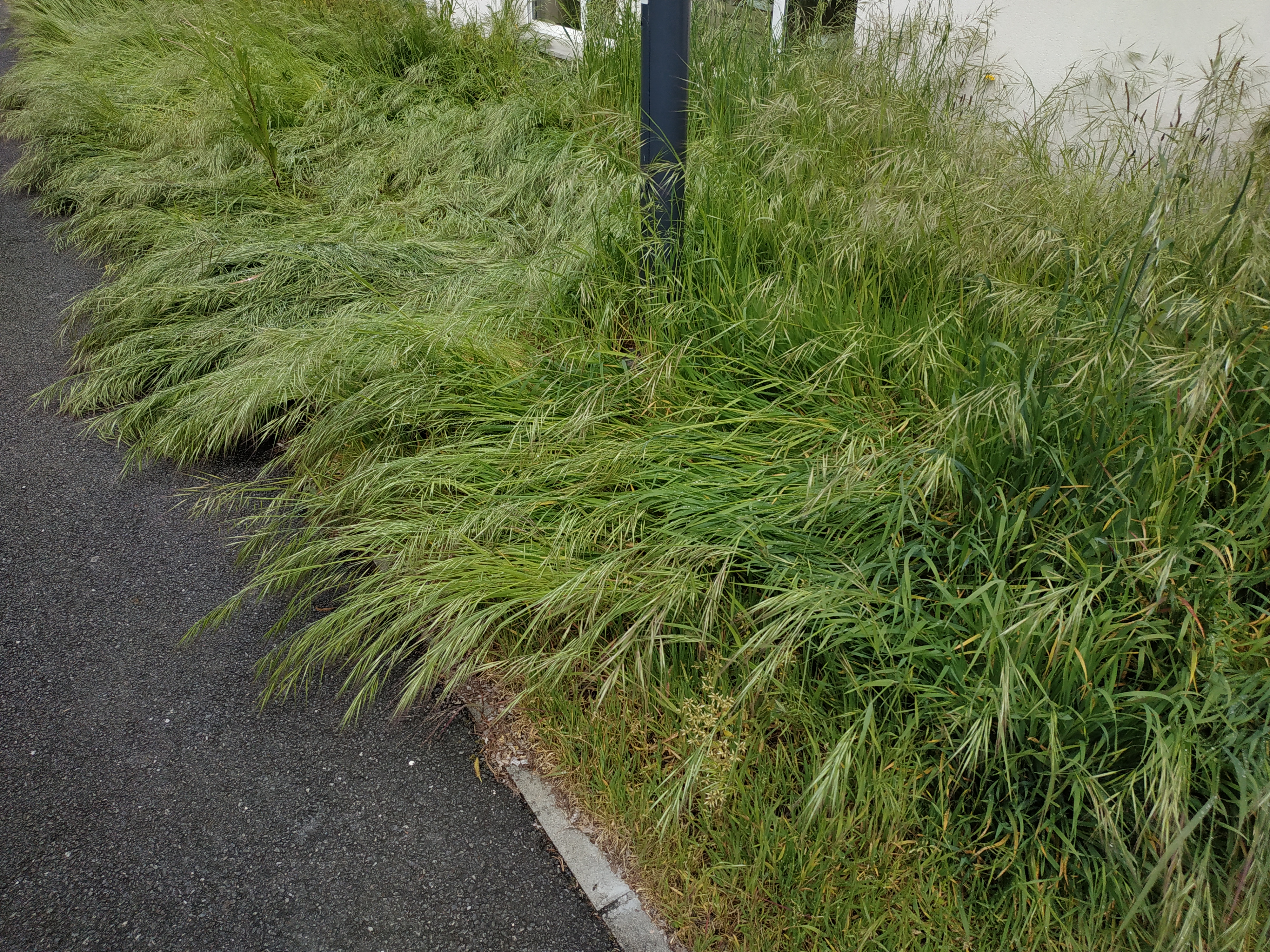 Photo n° 2 de l'avis de Flora.d fait le 26/04/2019 à 10:49