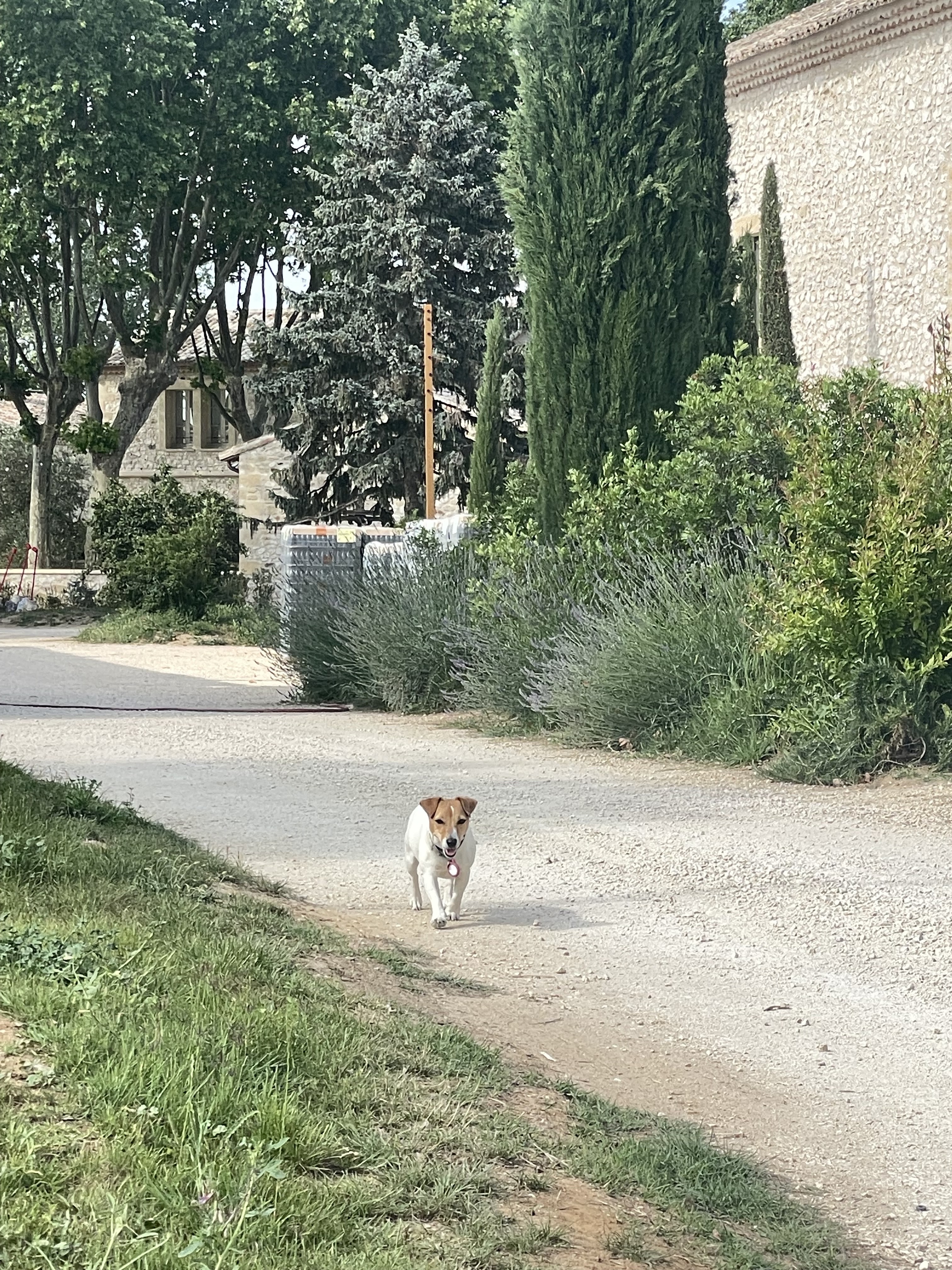 Photo n° 4 de l'avis de fu.h fait le 09/06/2023 à 15:17