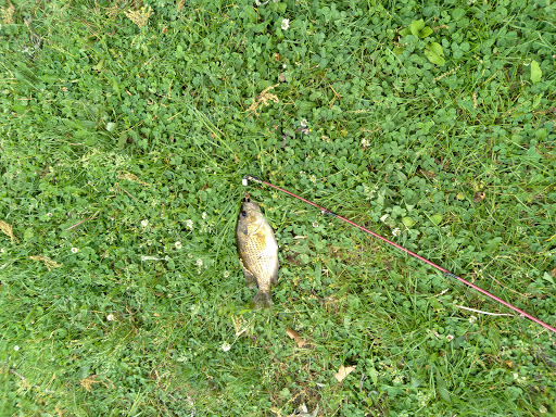 Museum «Curwood Castle Museum», reviews and photos, 224 Curwood Castle Dr, Owosso, MI 48867, USA