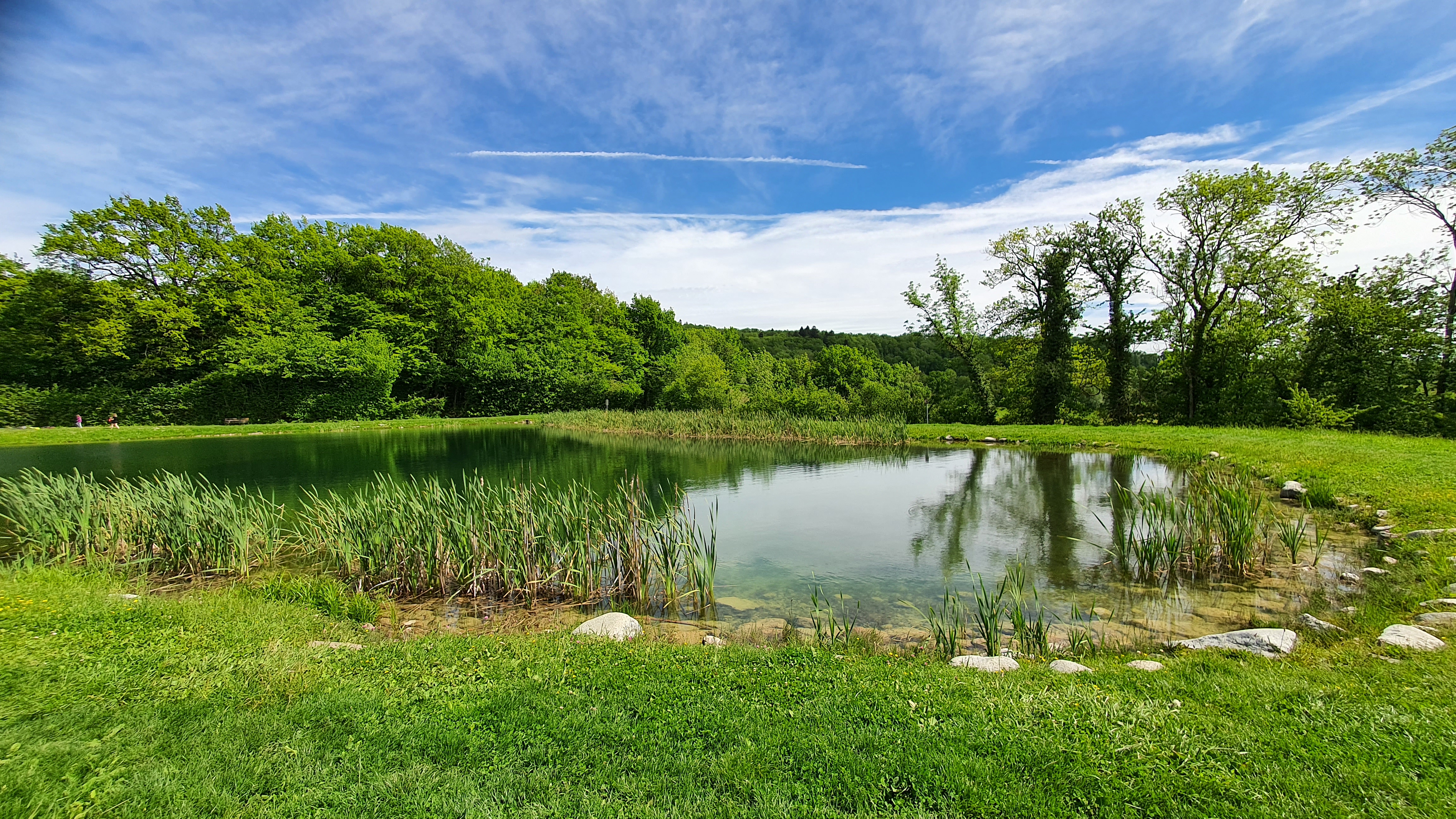 Photo n° 6 de l'avis de Détection.t fait le 22/05/2021 à 15:16