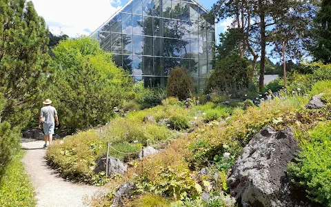 Botanični vrt Univerze v Ljubljani image