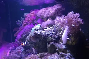 Life Aquarium image