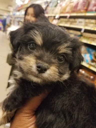 Pet Supply Store «PetSmart», reviews and photos, 4005 Airport Fwy, Irving, TX 75062, USA