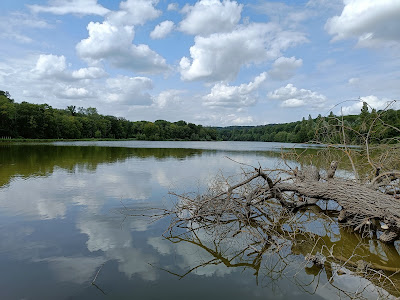 Étangs de Saint-Pierre à Vieux-Moulin