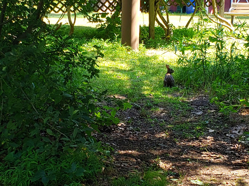 Nature Preserve «Lorrimer Sanctuary», reviews and photos, 790 Ewing Ave, Franklin Lakes, NJ 07417, USA