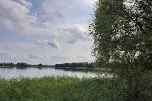 Wulfener Bruch und Teichgebiet Osternienburg image