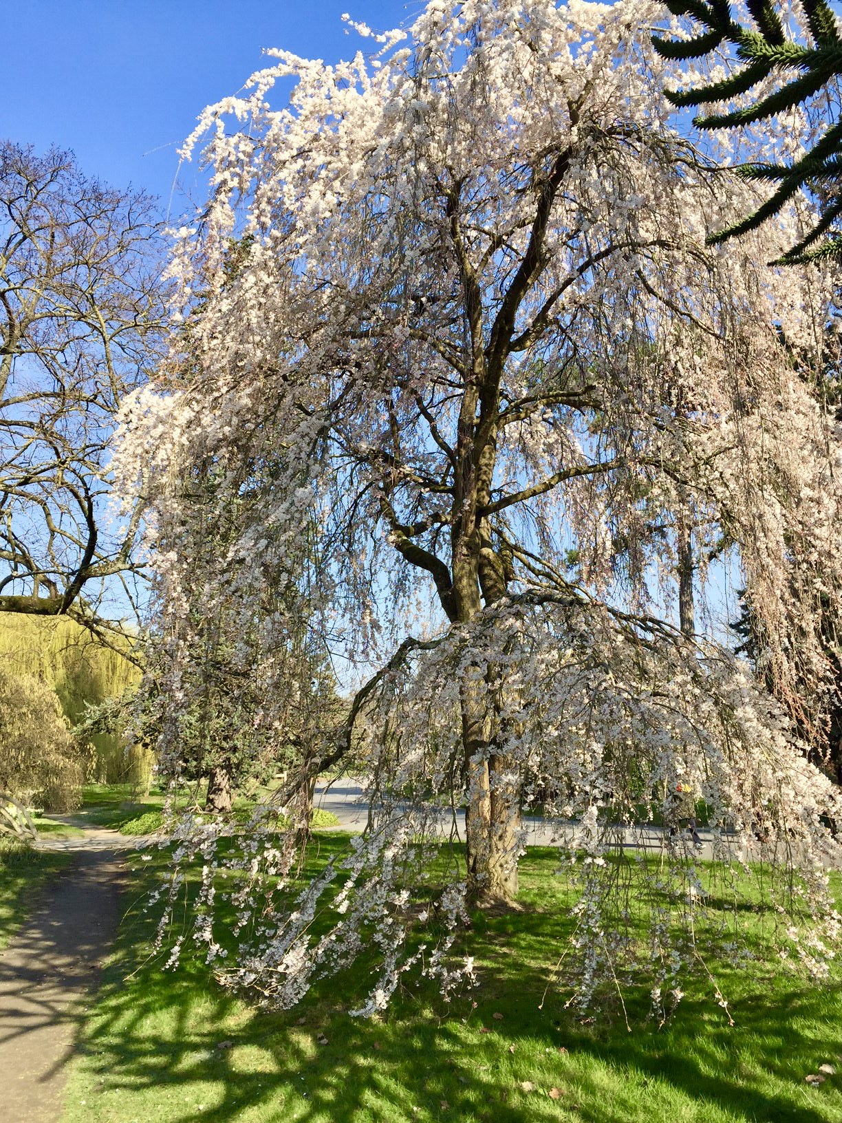 Photo n° 8 de l'avis de Eddie.e fait le 06/03/2022 à 20:32