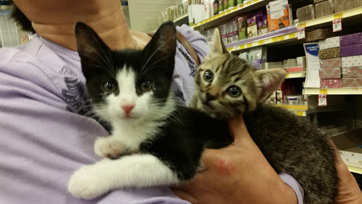 Pet Supply Store «PetSmart», reviews and photos, 33963 Doheny Park Rd, San Juan Capistrano, CA 92675, USA