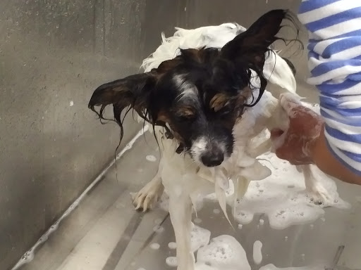 Pet Supply Store «Lemos Feed & Pet Supply», reviews and photos, 1320 Main St, Morro Bay, CA 93442, USA