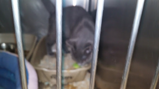 Pet Supply Store «PetSmart», reviews and photos, 1276 Bald Hill Rd, Warwick, RI 02886, USA