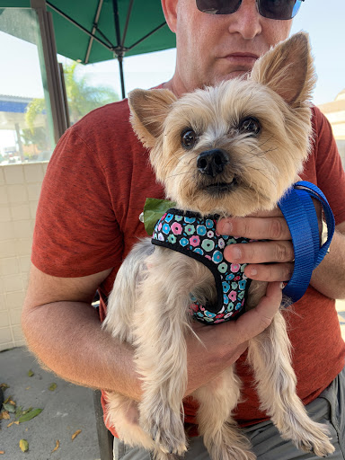 Pet Supply Store «PetSmart», reviews and photos, 5521 Mirage St, Yorba Linda, CA 92887, USA