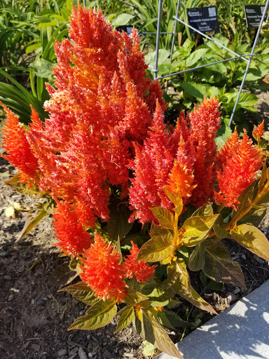 Maritime Museum «Maritime Gloucester», reviews and photos, 23 Harbor Loop, Gloucester, MA 01930, USA