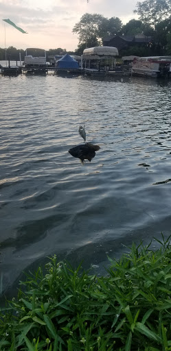 Park «Red Bridge Park», reviews and photos, 697 W Jackson St, Cicero, IN 46034, USA