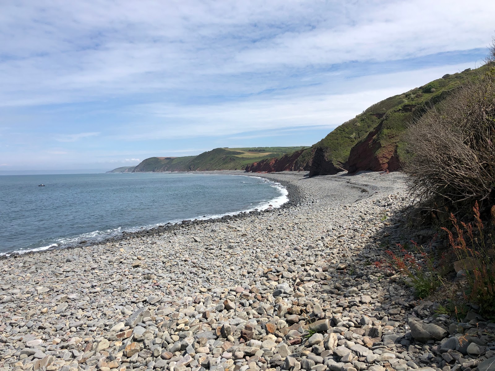 Photo of Peppercombe Beach with very clean level of cleanliness